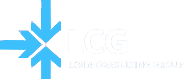 Levin Consulting Group Logo